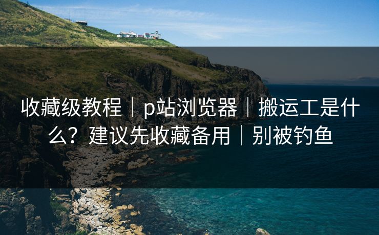 收藏级教程｜p站浏览器｜搬运工是什么？建议先收藏备用｜别被钓鱼